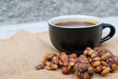 Mengenal Kopi Luwak, Komoditas Indonesia yang Mendunia