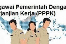 Pemberhentian PNS dan PPPK dari Statusnya sebagai Pegawai ASN, Jika Melakukan Hal Ini