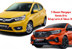 Lebih dari Sekedar Hatchback, Inilah 5 Alasan Mengapa Honda Brio Tetap Laris di Tahun 2024