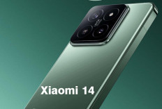 Xiaomi 14: Performa Tangguh, Baterai Tahan Lama dan Pengisian Cepat