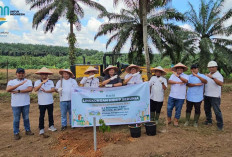 Peringati Hari Lingkungan Sedunia, PTPN 4 Regional 7 Kebun Betung Tanam 200 Pohon