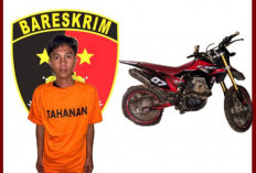 Pengungkapan Kasus Curanmor di Babat Toman: Polisi Amankan Pelaku dan Barang Bukti