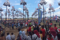 Sebanyak 79 Batang Pohon Pinang Meriahkan HUT RI ke-79 di Palembang