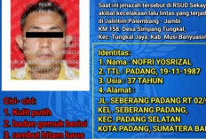 Mobil Calya Hasil Curian Terlibat Kecelakaan Maut, Identitas Sopir Akhirnya Diketahui