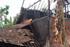  Rumah Pasangan Lansia di Muara Beliti Ludes Terbakar, Kerugian Capai Rp80 Juta