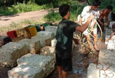 Harga Karet di OKU Turun ke Rp15 Ribu per Kg, Produksi Menyusut Hingga 50 Persen