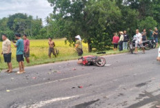 Kecelakaan Maut di Jalinteng Sumatera, Pengendara Motor Tewas Tertabrak Truk Tronton