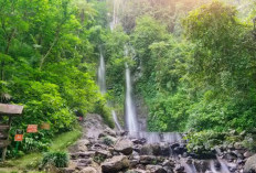 Eksplorasi Alam di Curug Cilember, Tempat Belajar dan Bermain Anak di Bogor