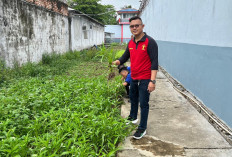 Lapas Sekayu Kembali Panen Kangkung, Dukung Program Ketahanan Pangan Nasional