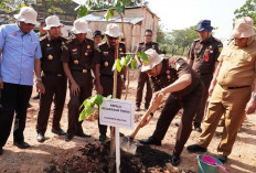 Sambut HUT Kemerdekaan RI Ke-79, Kejati Sumsel Tanam Ratusan Pohon Langka