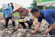 Sinergi Kuat! Kapolsek Lalan dan Forkopimda Tanam 5 Hektare Jagung, Dukung Ketahanan Pangan Nasional