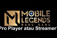 Pro Player vs Streamer: Siapa yang Lebih Jago di Mobile Legends?