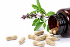 Manfaat dan Efek Samping Penggunaan Obat Herbal