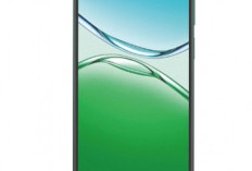 OPPO A54 4G: Jawaban Cerdas untuk Kebutuhan Digital Harian Anda dengan Baterai Tahan Lama! 