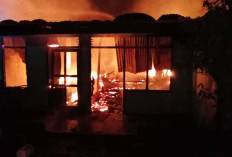 11 Rumah Hangus Terbakar di Sekojo Palembang, Polisi Masih Lakukan Penyelidikan Penyebabnya 