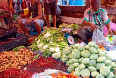 Ujung Tahun 2023, Harga Sayuran di Sanga Desa Terpantau Masih Normal