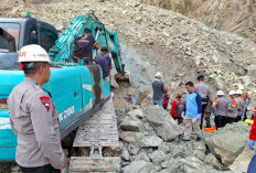 Longsor Tambang Cirebon: 14 Penambang Tewas Teridentifikasi, 8 Lainnya Diduga Masih Tertimbun