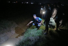 Warga Tugu Mulyo Tewas Tersengat Setrum Ikan di Sawah, Ditemukan Tengkurap di Saluran Irigasi