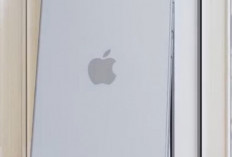 iPhone SE 4 ,  Desain Menarik, Bocoran Kamera 48MP, dan Harga Kompetitif