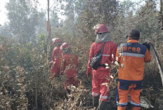 Titik Fire Spot di OKI Bertambah, Petugas Berjibaku Lakukan Pendinginan 