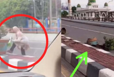 Viral di Media Sosial! Seorang Emak-Emak Merusak Pot Tanaman di Flyover Polda Sumsel