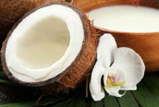 Manfaat Santan untuk Kesehatan Tubuh: Lebih dari Sekadar Bumbu Dapur