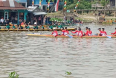 SERU, Puluhan Peserta Bidar Adu Kecepatan di Sungai Babatan Pedamaran OKI 