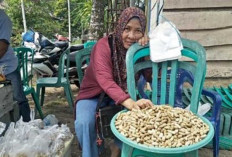 Laris Manis! Pedagang Kacang Rebus di Sanga Desa Muba Manfaatkan Momen Hajatan 