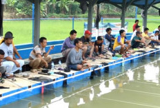 Rahasia Jitu Umpan Pancing Ikan Mas, Strike Tiada Henti!