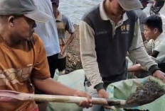 Solidaritas Lima Desa Kikim Selatan dan Wakil Rakyat Gotong Royong Pulihkan Irigasi Merendang Pasca Banjir