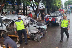 Toyota Avanza Alami Kecelakaan Tunggal, Nabrak Pohon hingga Menewaskan 2 Orang