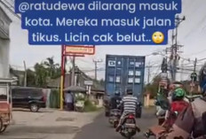 Truk ODOL Viral Melintas di Jalan Tikus, Kasat Lantas Polrestabes Palembang Sebut Alasan Utama Ini