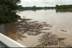 Waduh Kualitas Air Sungai Musi Terlihat Kotor, Dipenuhi dengan Rempan dan Ranting   