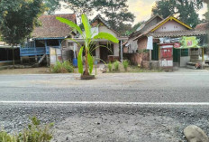 Jalinteng di Muba Berdebu, Warga Desa Sereka Pasang Pohon Pisang 