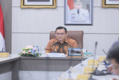 Jelang Nataru dan Tahun Baru 2025, Pj Gubernur Sumsel Pastikan Stok Pangan Aman