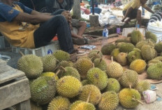  Harga Masih Tinggi, Durian Tetap Diburu Warga