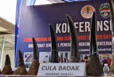 Rampung, Berkas Tersangka Kasus Gading Gajah dan Cula Badak akan Jalani Tahap II 