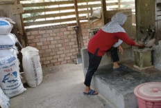Musim Panen, Omzet Penggilingan Padi Naik Tiga Kali Lipat