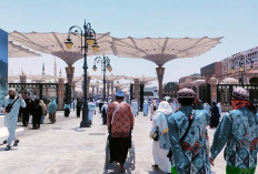 Petugas Haji Mulai Mendata Jamaah Haji Lansia dan Disabilitas yang Menggunakan Kursi Roda