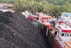 Tongkang Muatan Batu Bara Terlepas dan Menabrak Jembatan Bentayan, Banyuasin