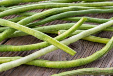Kacang Panjang: sayuran polong yang mudah ditemukan dan harganya terjangkau