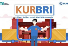 KUR BRI 2024: Solusi Terbaik untuk UMKM dengan Beragam Keuntungan Menarik