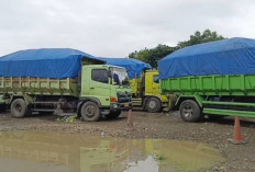 Truk Batu Bara Jambi–Bengkulu Kembali Dilarang Melintas di Sumsel