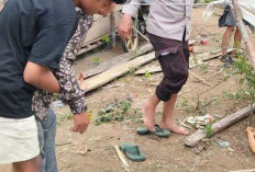 Pria di Musi Rawas Ditemukan Tewas di Depan Pondok Sawit, Diduga Akibat Sakit Paru-paru