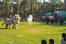 Tarik Pengunjung, Ini Langkah yang Dilakukan Pengelola Wahana Tirto Mulyo