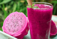 Buah Naga, Si Merah Segar yang Bantu Jaga Berat Badan dan Kesehatan Jantung