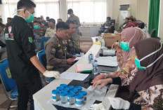 Hindari Penyalahgunaan Narkoba, Sat Pol PP Muba Lakukan Tes Urine Terhadap Pegawai Honorer 