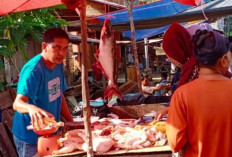 Pertengahan Agustus 2024, Segini Harga Ayam Potong di Sanga Desa 