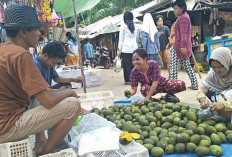 Manis dan Murah, Buah Kuini Jadi Pilihan Favorit Warga