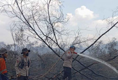 Kebakaran 4 Hektare Lahan Gambut di Ogan Ilir, Petugas Terus Berjibaku 